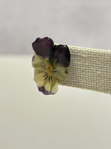 Botanical Earrings