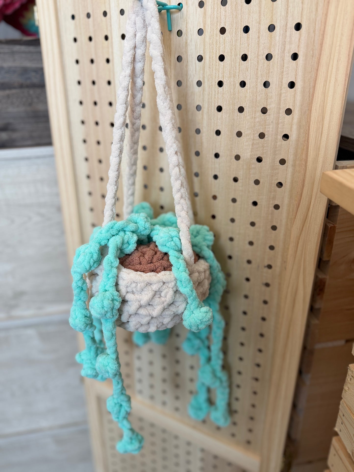 String of Pearls hanging plant