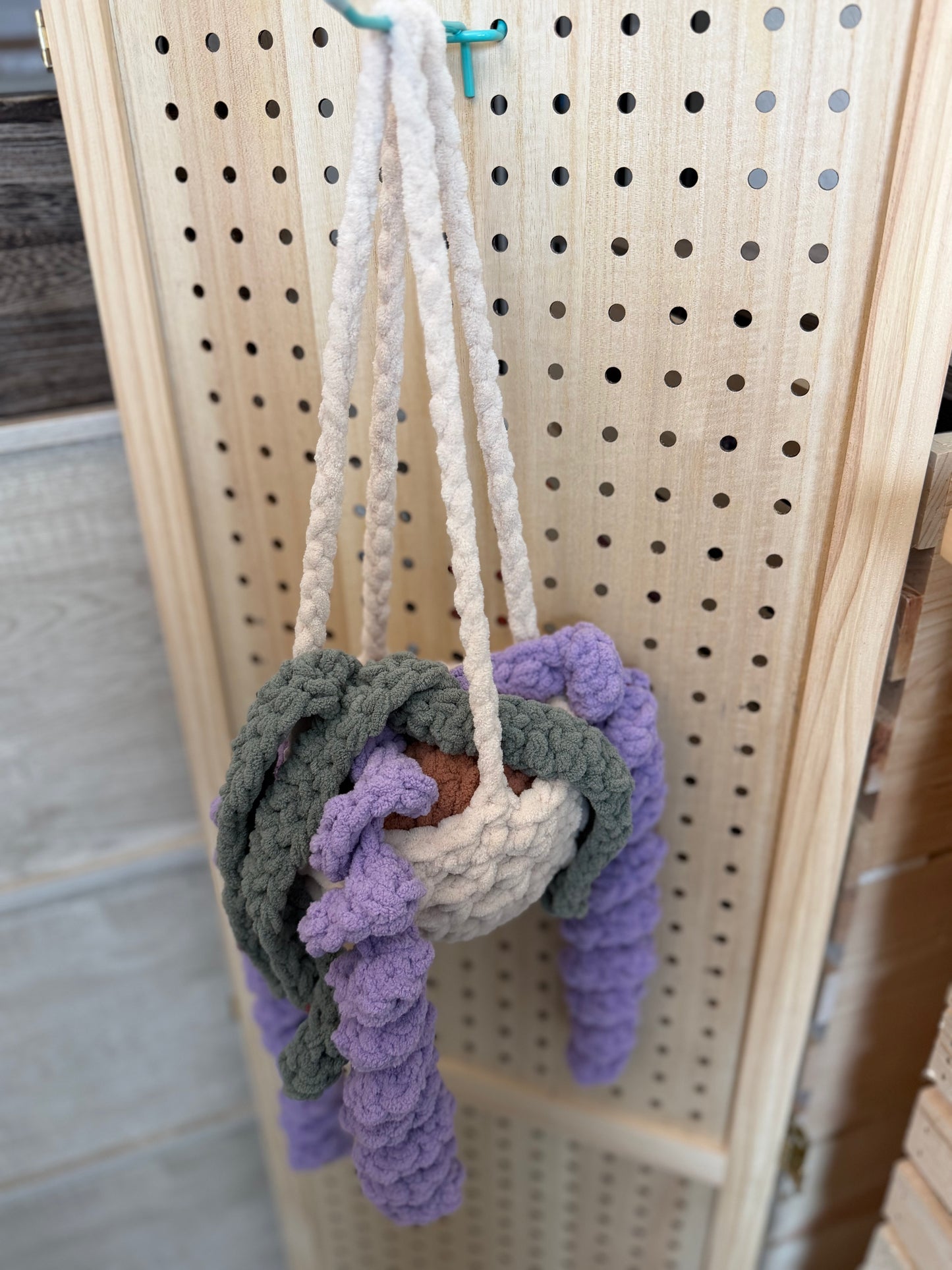 Lavender hanging plant