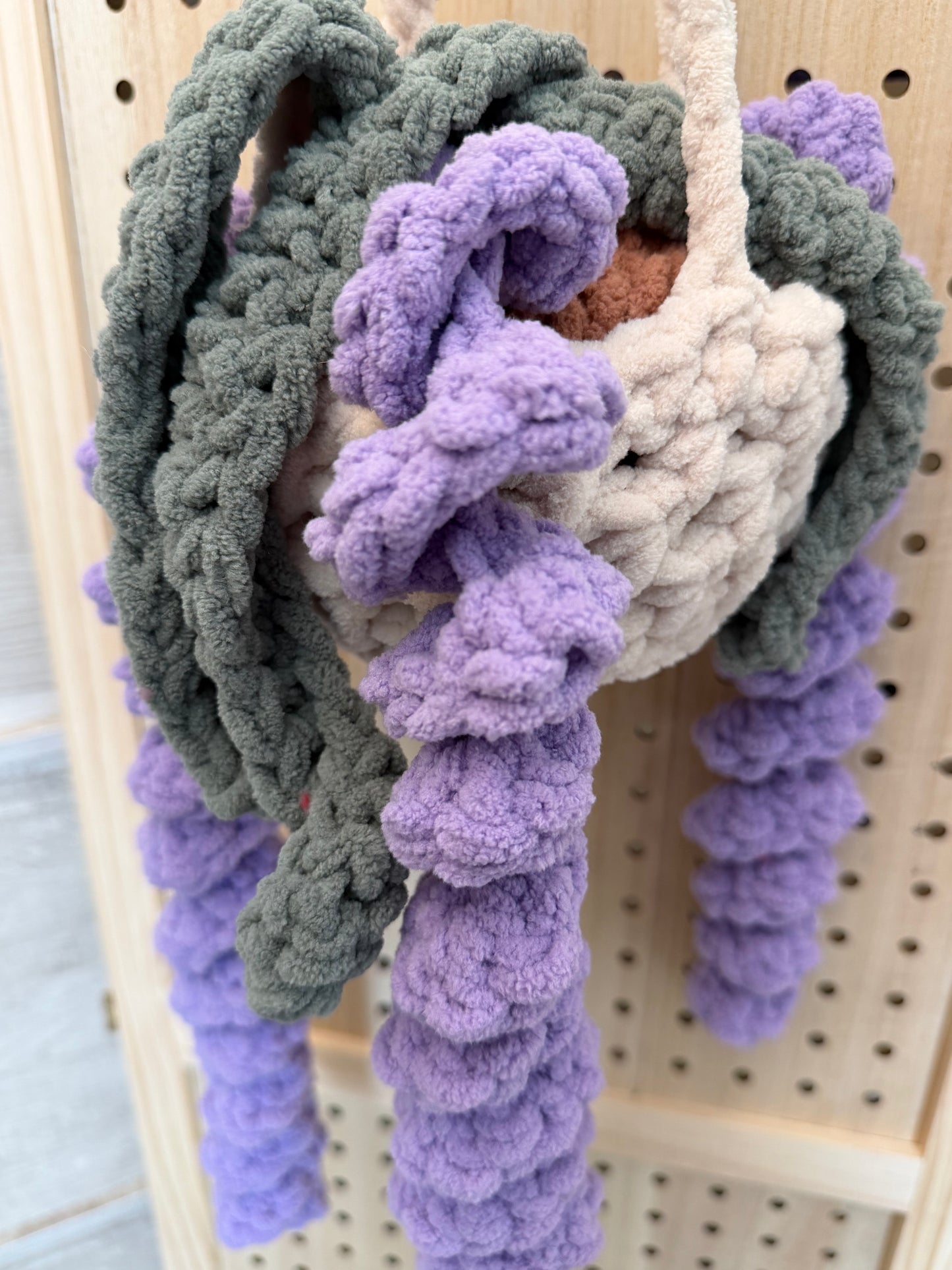 Lavender hanging plant