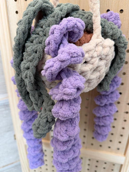 Lavender hanging plant