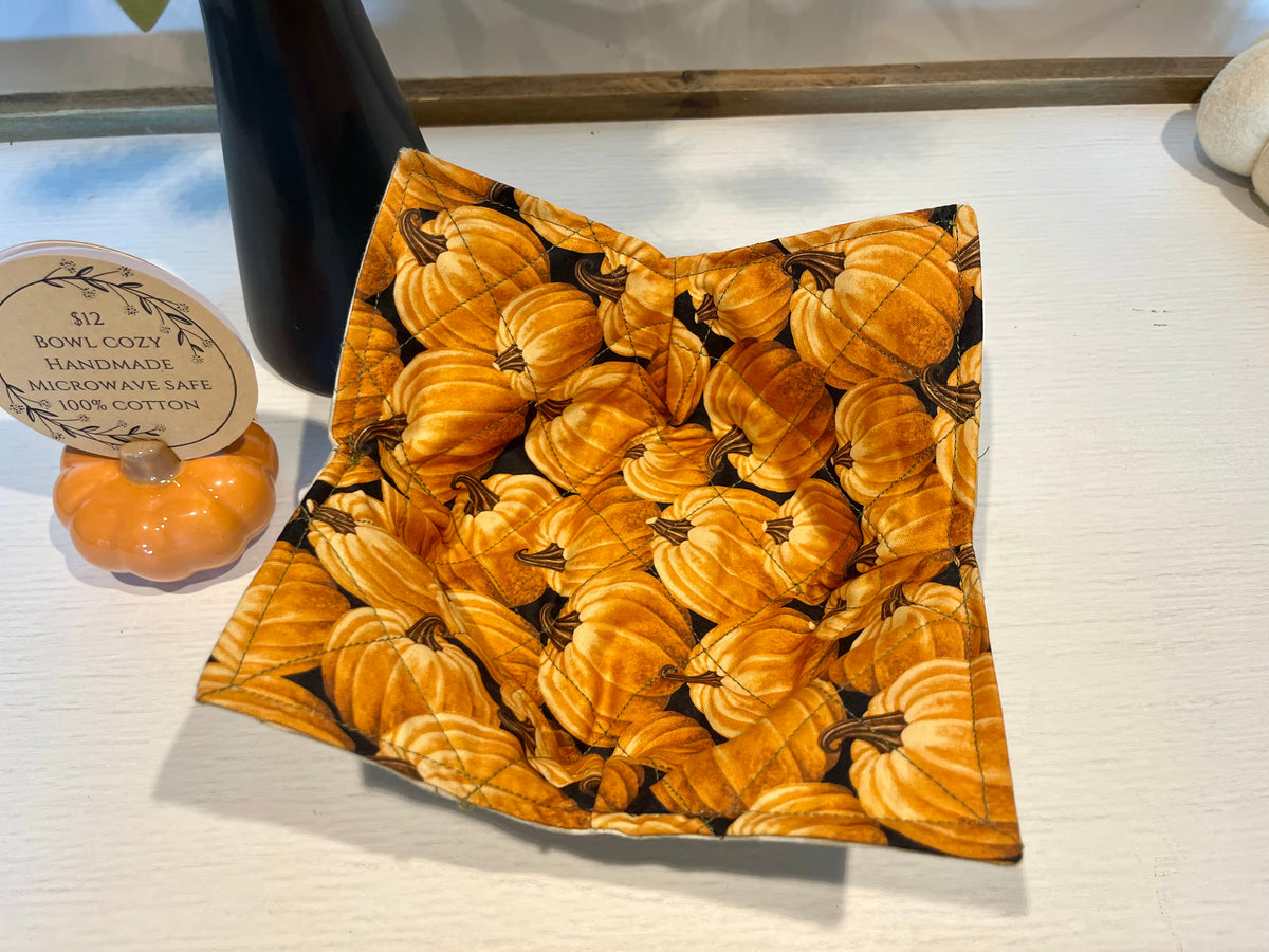Fall Pumpkins Bowl Cozy
