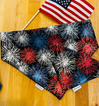 Dog Bandana- Fireworks USA