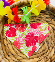 Dog Bandana- Happy in Hawaii