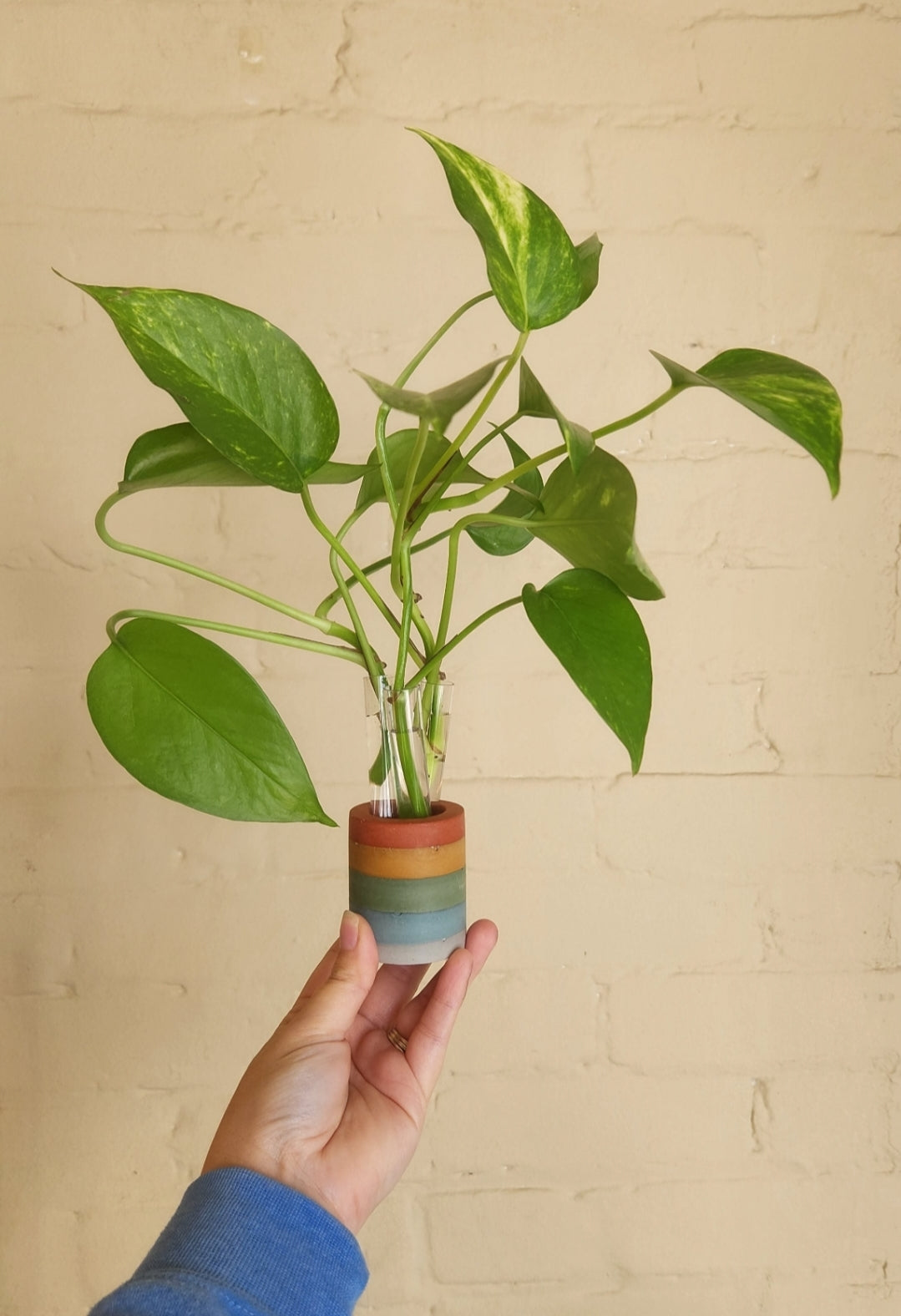 Propagation