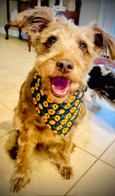 Dog Bandana- Sunflower