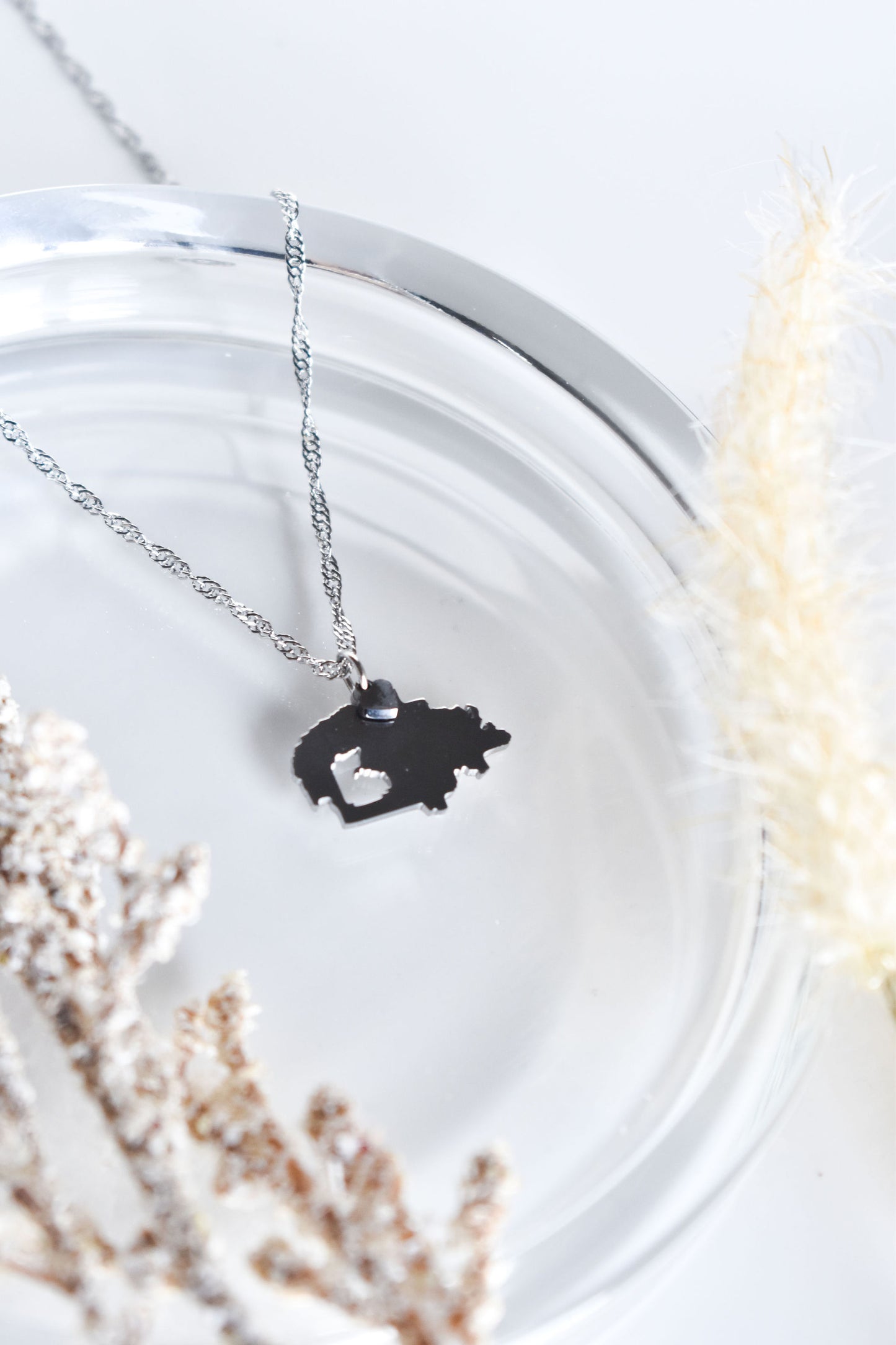 Navajo Nation Necklace