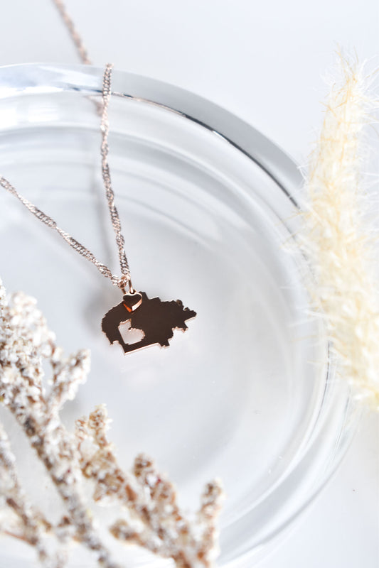 Navajo Nation Necklace