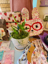 Succulents, Cacti and air plants