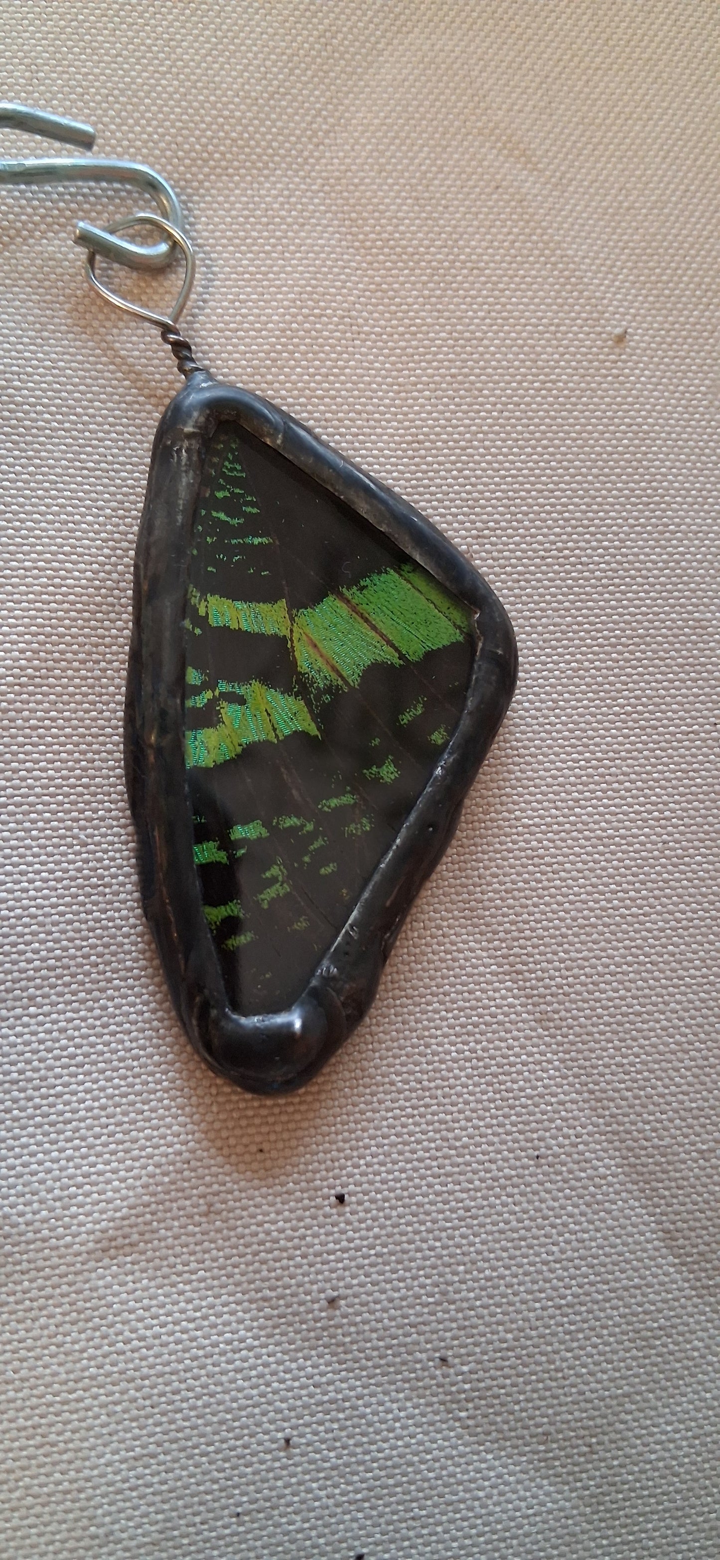 Butterfly Wing