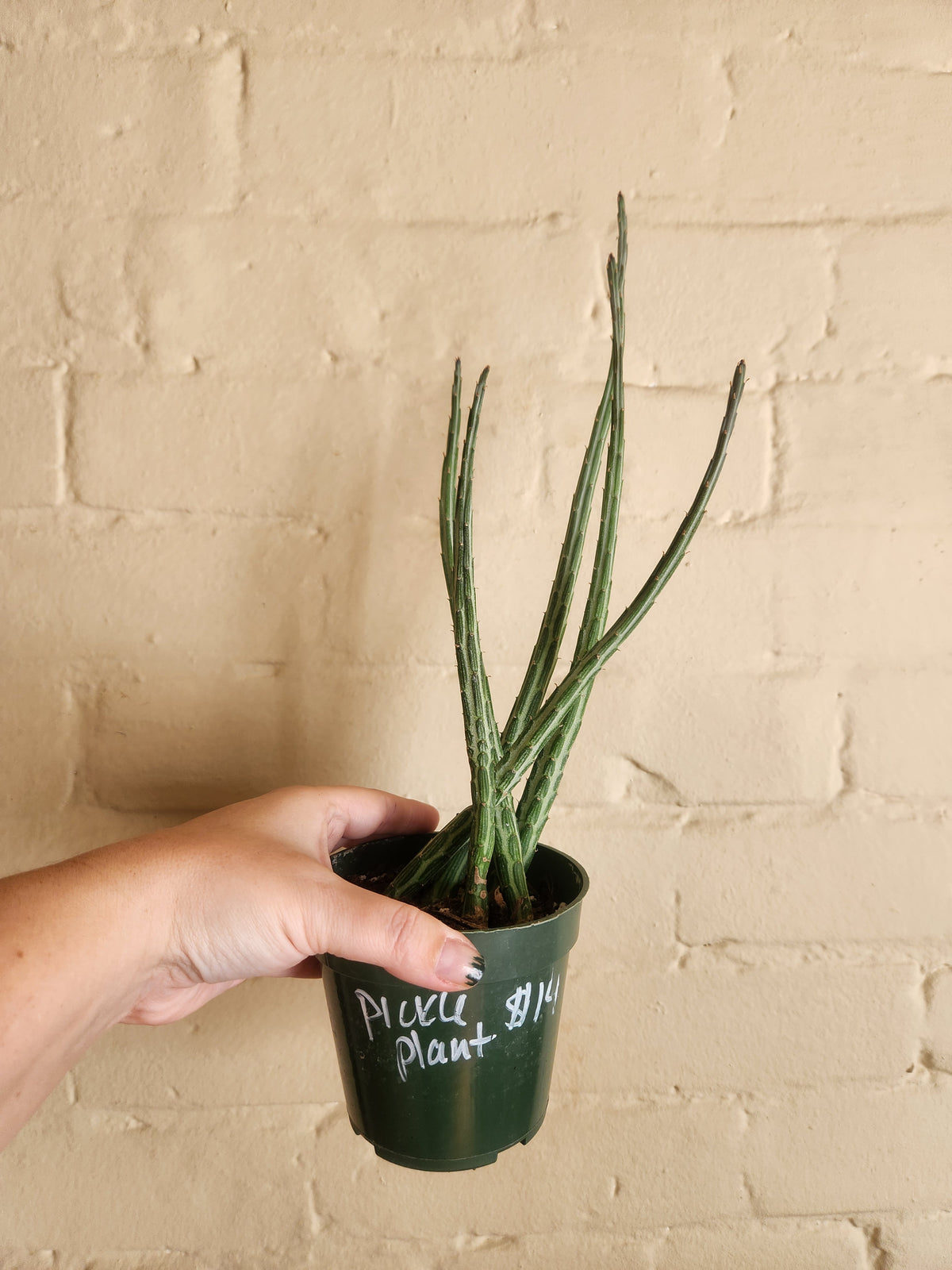 Grow pots