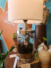 Terrariums