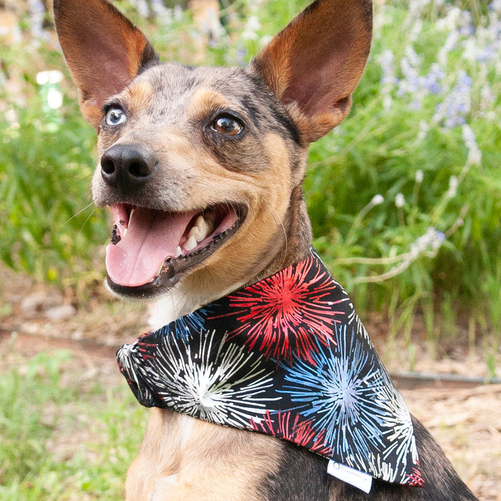 Dog Bandana- Fireworks USA