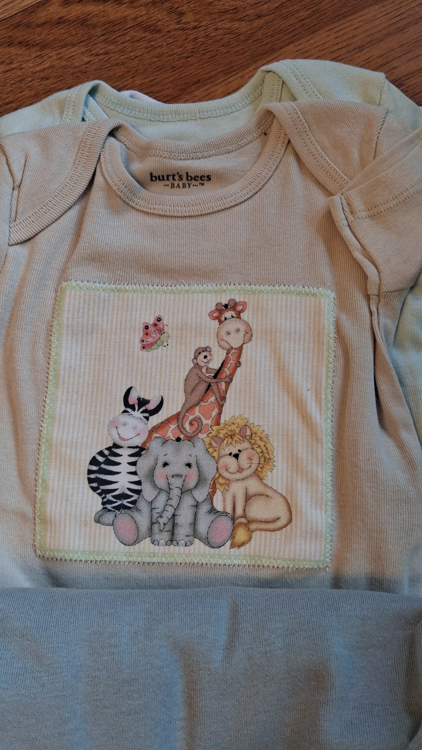 Baby Onesies- 3 to 6 months