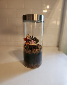 Terrariums