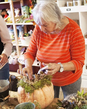 Succulent Pumpkin centerpiece workshop/ Sept 28th/ 4pm