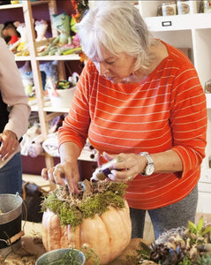 Succulent Pumpkin centerpiece workshop/ Sept 28th/ 4pm