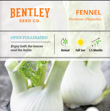 Seeds- veggies, herbs, and florals