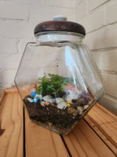 Terrariums