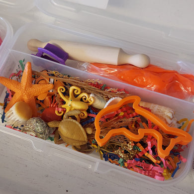 Sensory Box - Small