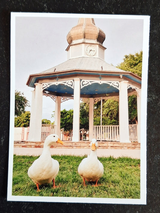 Mini Art Print- Ducks & Gazebo