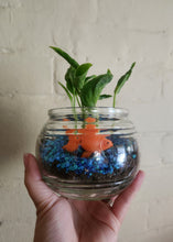 Pot and adopt-make and take event- July 29-August 2nd.