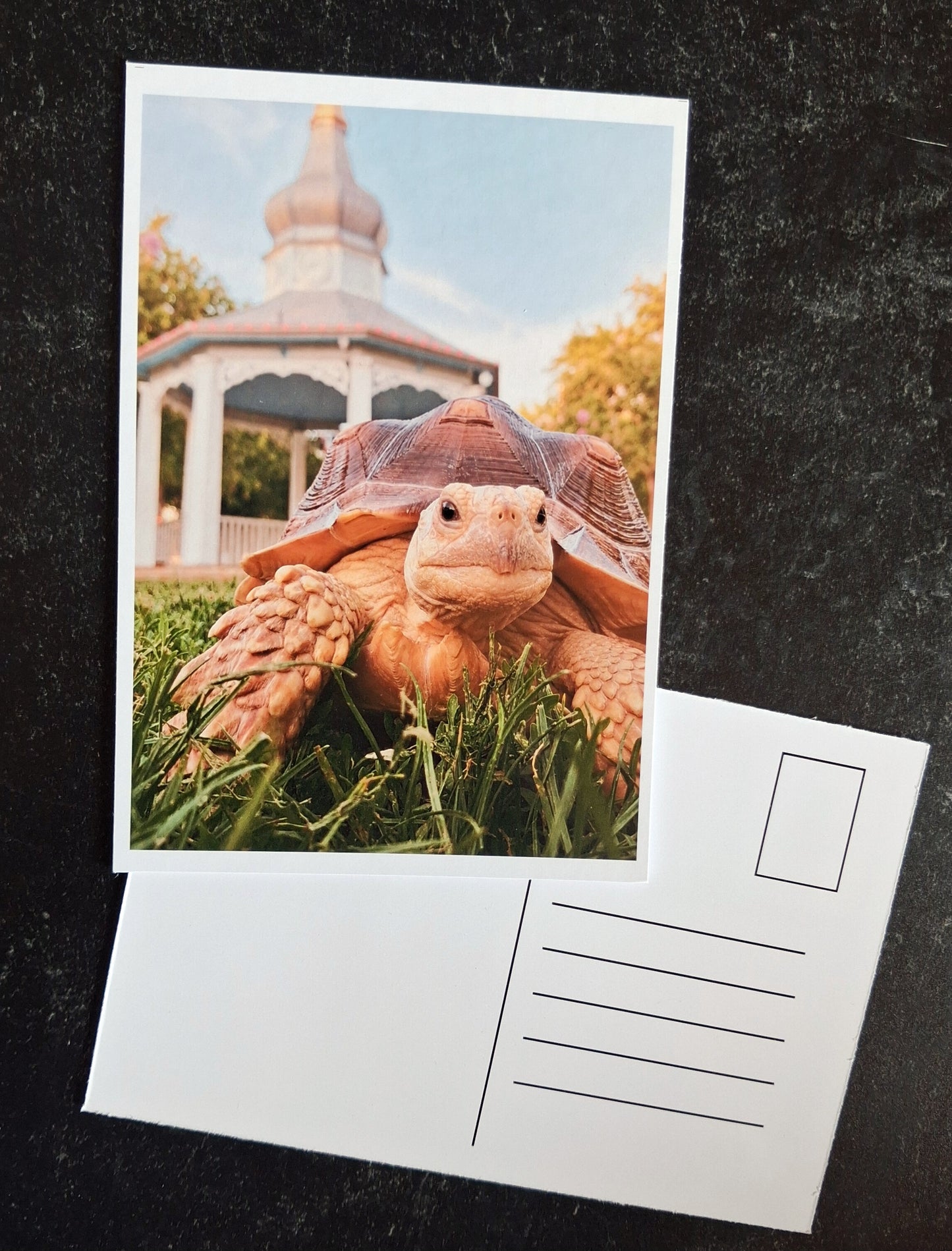 Mini Postcard- Fern & Gazebo