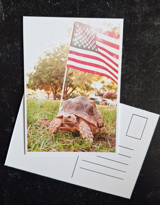 Mini Postcard- Fern & Flag