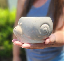 Pot and adopt-make and take event- July 29-August 2nd.