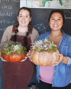 Succulent Pumpkin centerpiece workshop/ Sept 28th/ 4pm