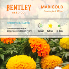 Seeds- veggies, herbs, and florals