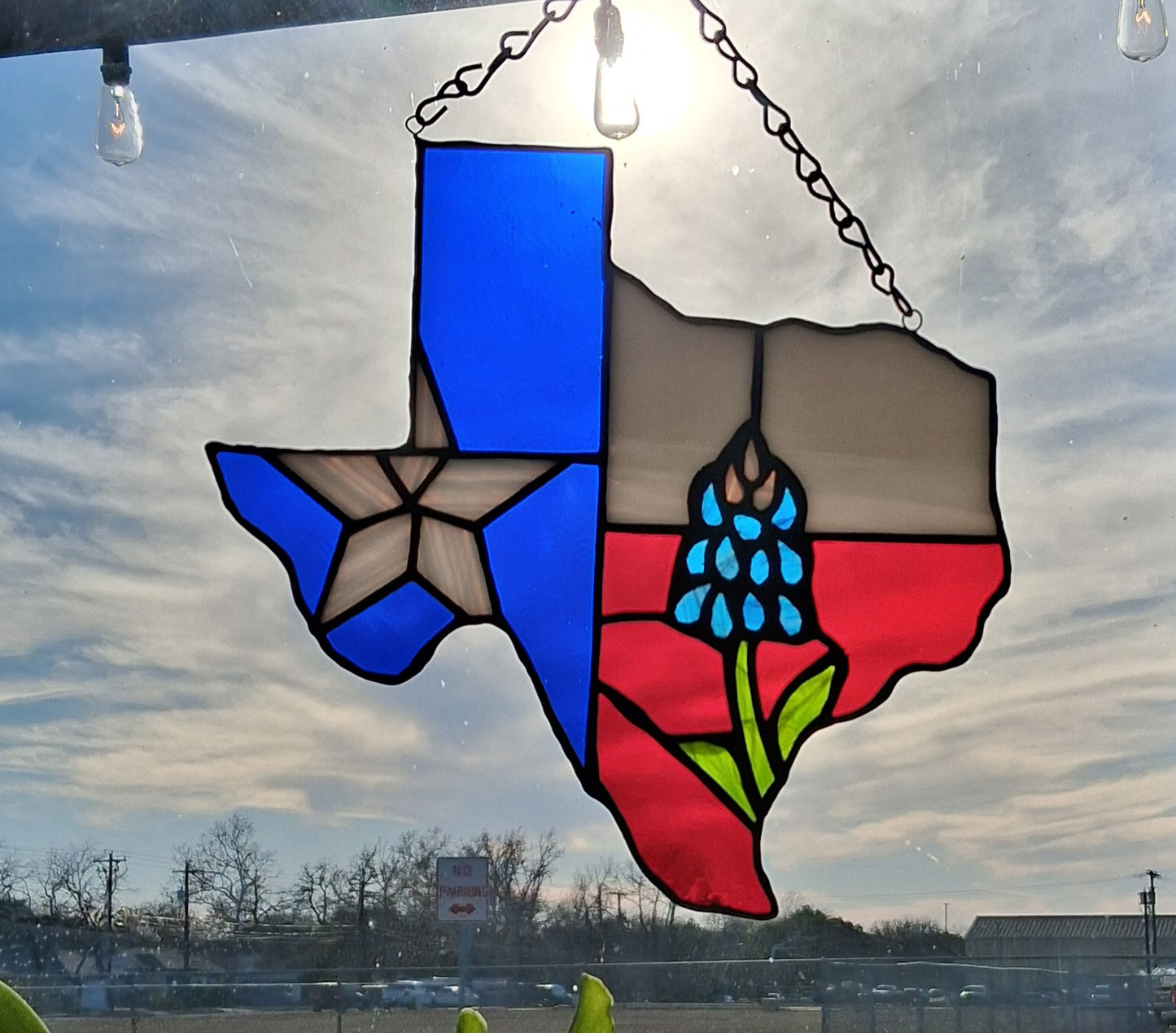 Texas flag Texas bluebonnet
