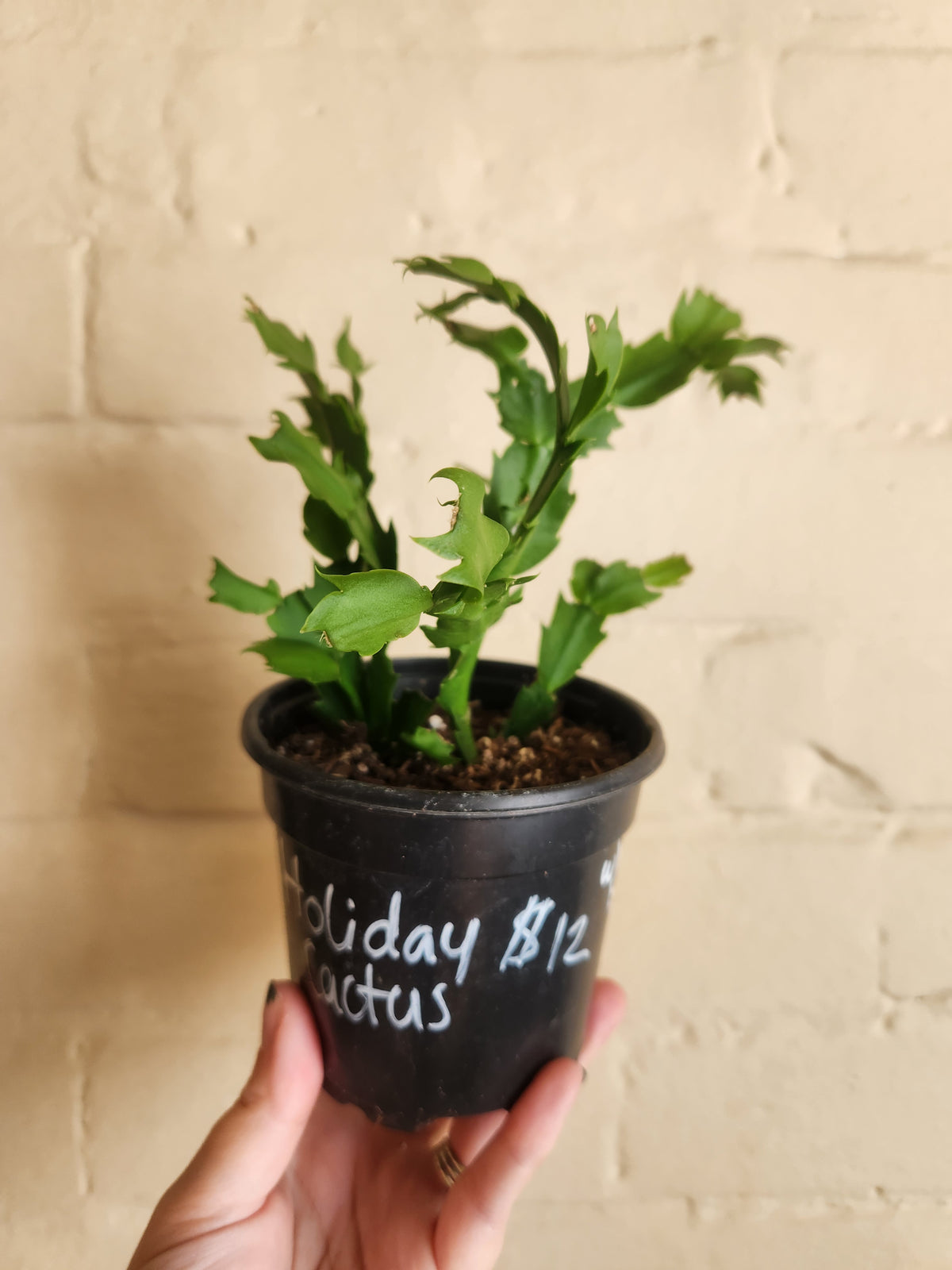 Grow pots