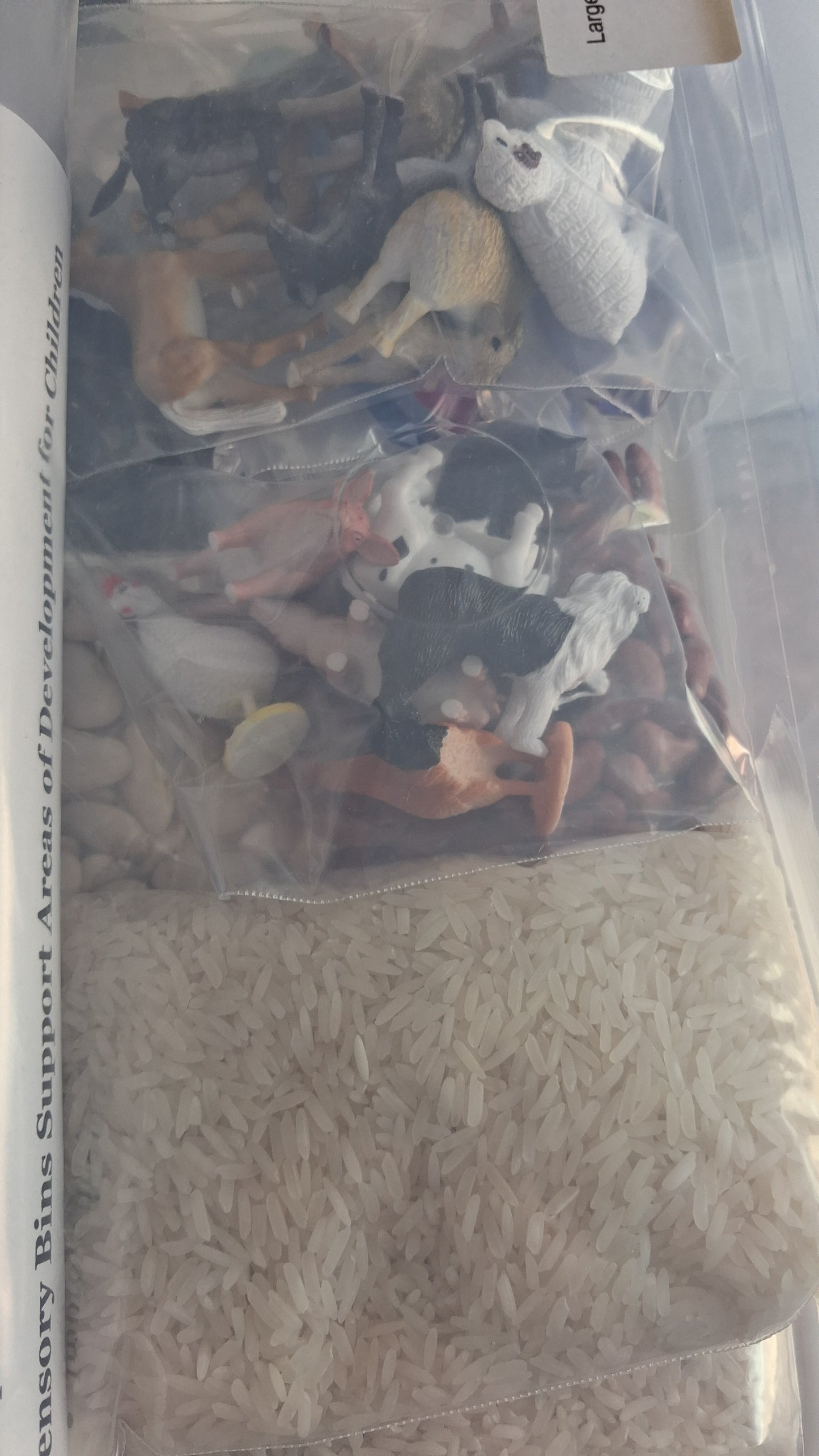 Rice Sensory Boxes- Large