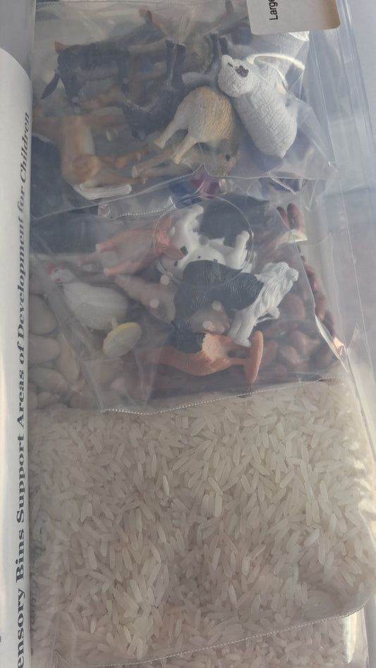 Rice Sensory Boxes- Large