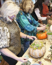 Succulent Pumpkin centerpiece workshop/ Sept 28th/ 4pm