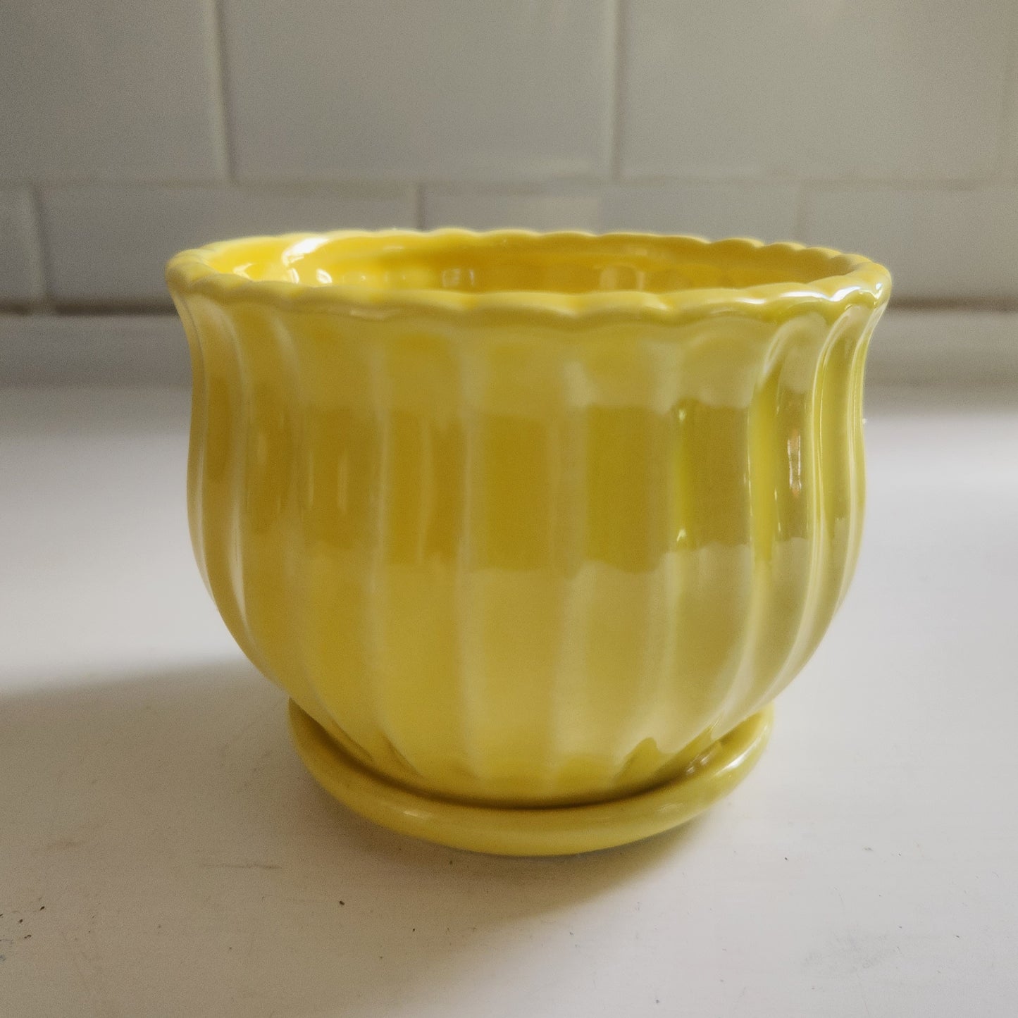 Planters and trays