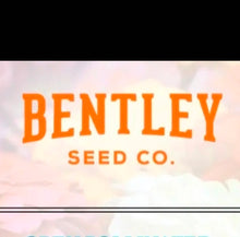 Seeds- veggies, herbs, and florals