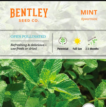 Seeds- veggies, herbs, and florals