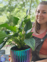 Houseplants