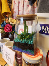 Terrariums