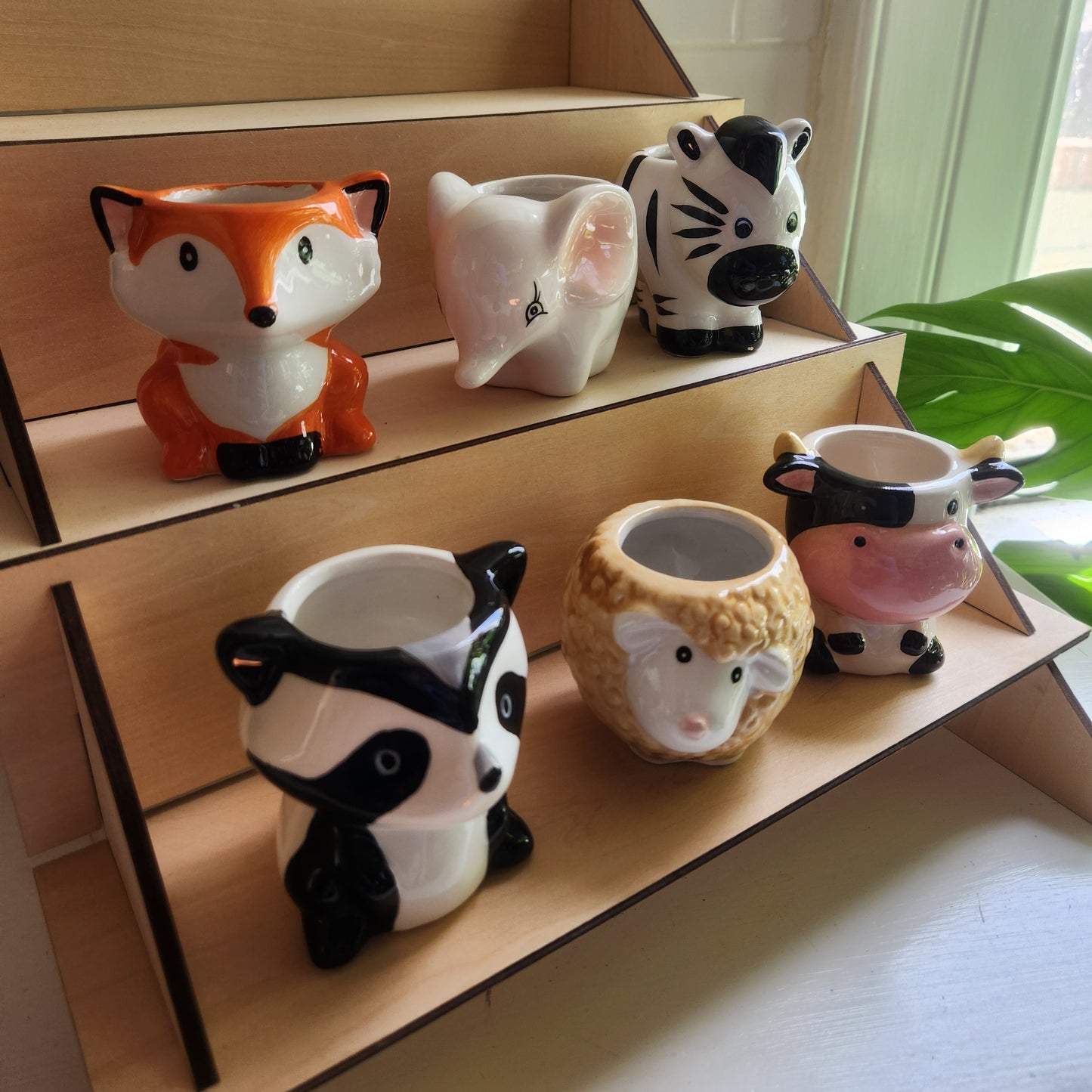 Planters and trays