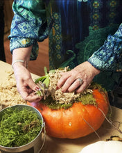 Succulent Pumpkin centerpiece workshop/ Sept 28th/ 4pm