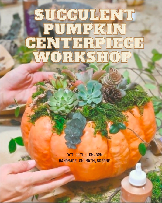 Succulent pumpkin centerpiece workshop