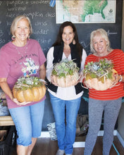 Succulent Pumpkin centerpiece workshop/ Sept 28th/ 4pm