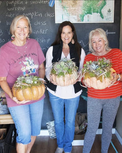Succulent Pumpkin centerpiece workshop/ Sept 28th/ 4pm