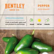 Seeds- veggies, herbs, and florals