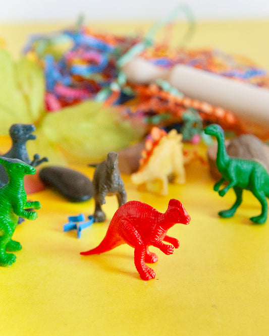 Play Dough Sensory Boxes - Small