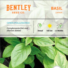 Seeds- veggies, herbs, and florals