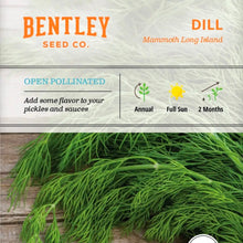 Seeds- veggies, herbs, and florals